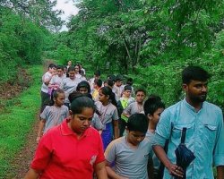 Std VI Field Trip - Sanjay Gandhi national Park